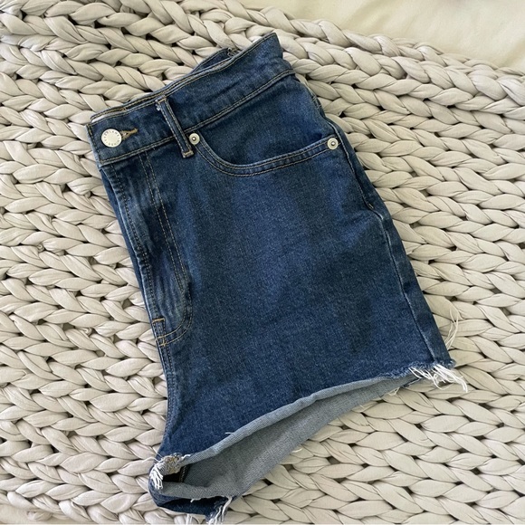 Everlane Denim Shorts - Picture 4 of 7